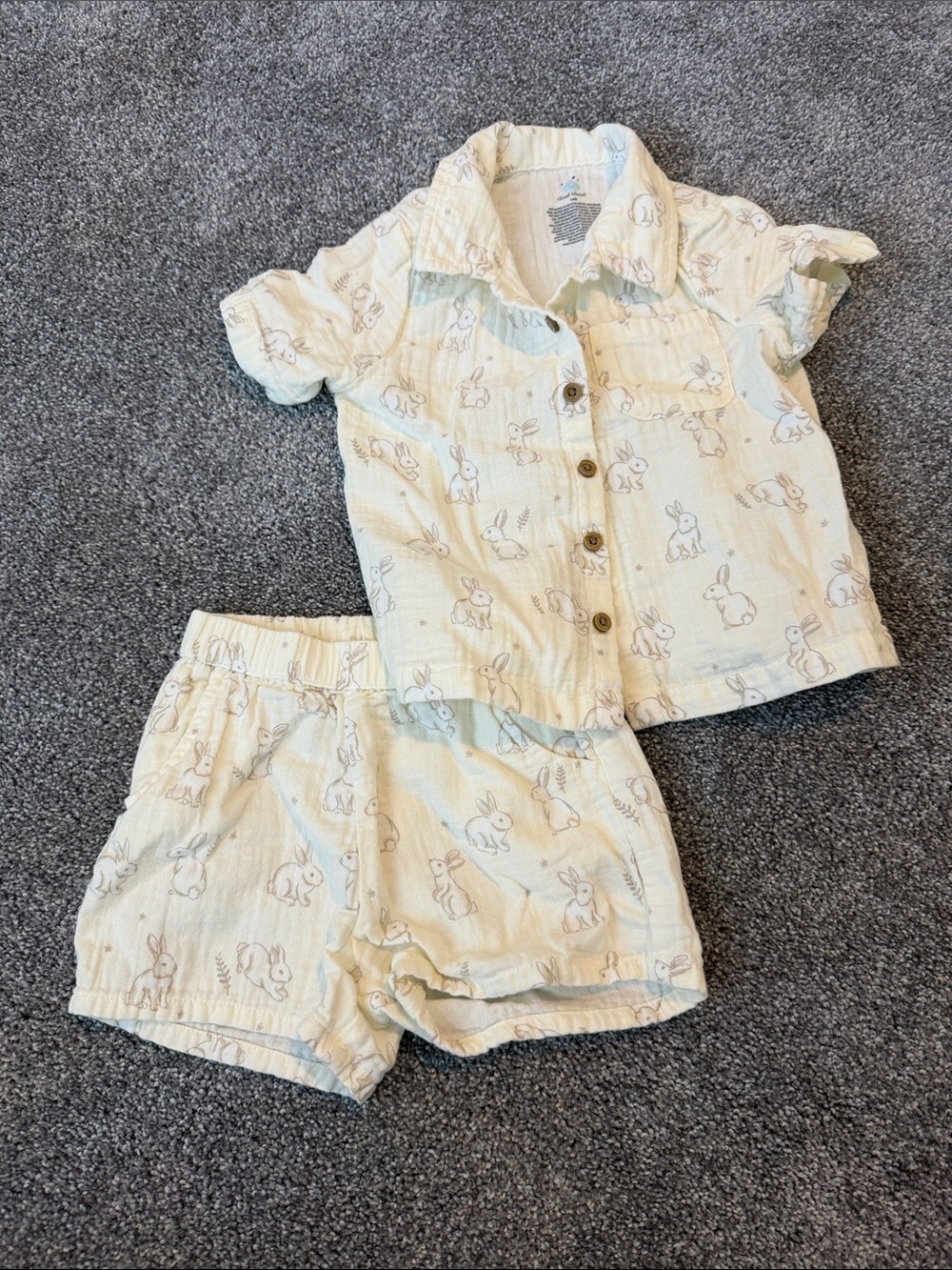 cloud Island button up bunny set